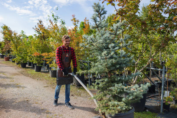  Coopersville, MI Tree Service Pros